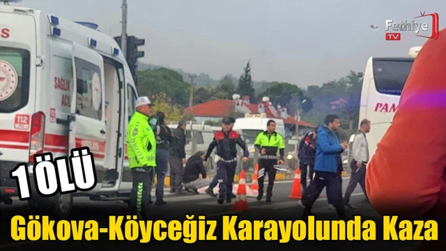 Gökova-Köyceğiz Karayolunda Kaza: 1 Ölü