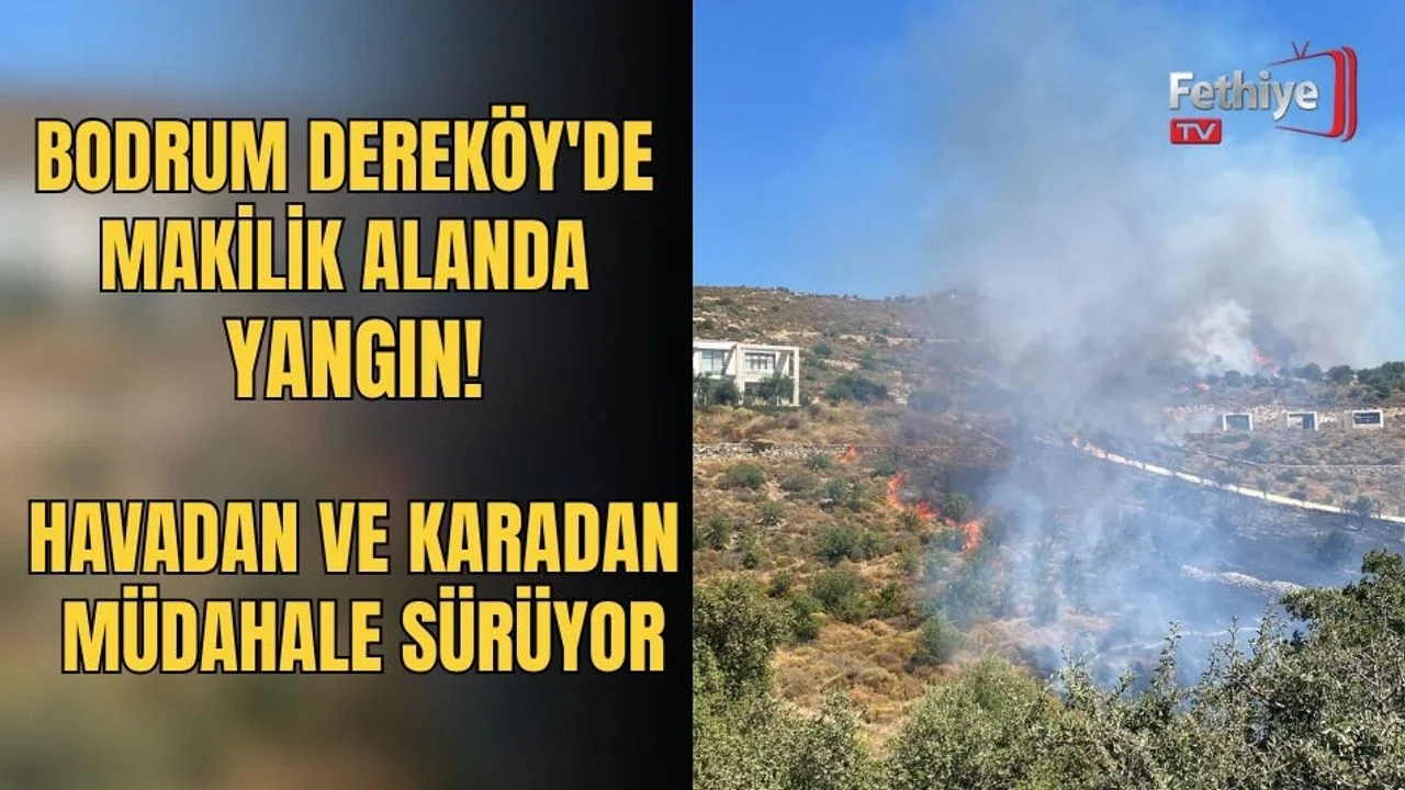 Bodrum Dereköy'de Makilik Alanda Yangın!