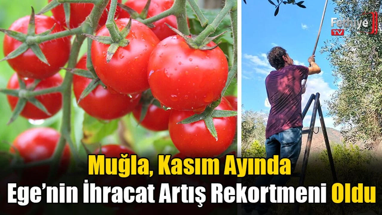 Muğla, Kasım Ayında Ege’nin İhracat Artış Rekortmeni Oldu