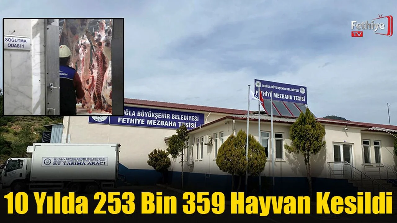 10 Yılda 253 Bin 359 Hayvan Kesildi