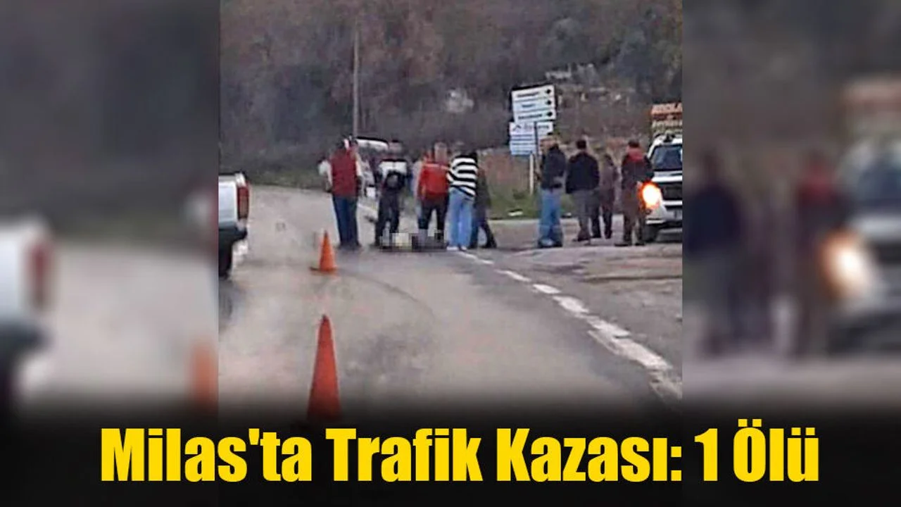 Milas'ta Trafik Kazası: 1 Ölü