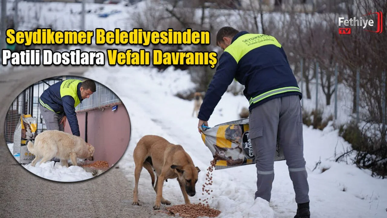 Seydikemer Belediyesinden Patili Dostlara Vefalı Davranış