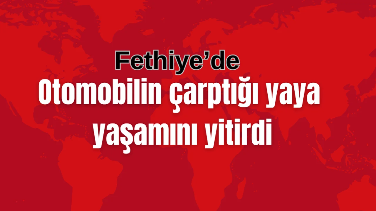 Kazada 1 Kişi Hayatını Kaybetti