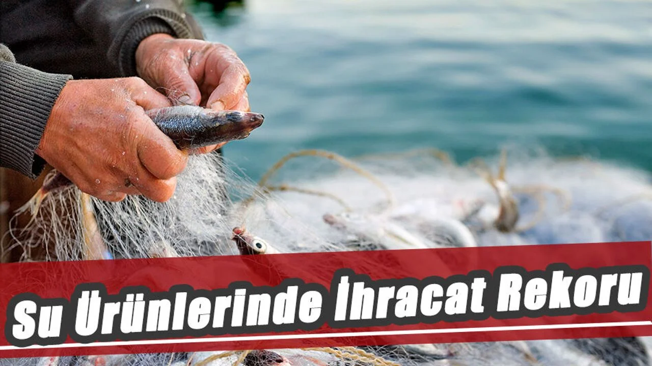 Su Ürünlerinde İhracat Rekoru