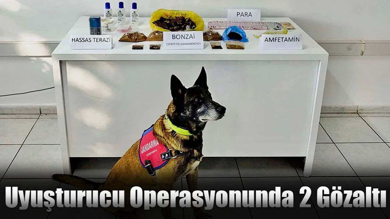 Uyuşturucu Operasyonunda 2 Gözaltı