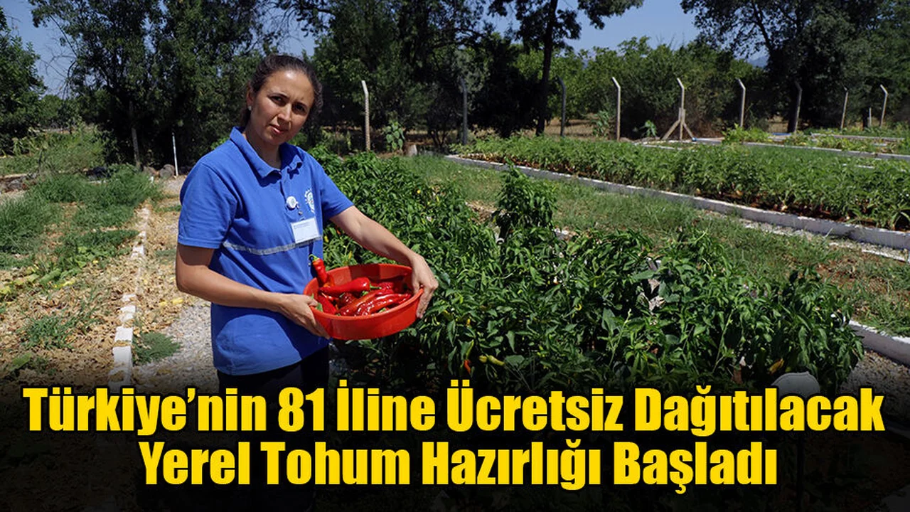 Türkiye’nin 81 İline Ücretsiz Dağıtılacak Yerel Tohum Hazırlığı Başladı