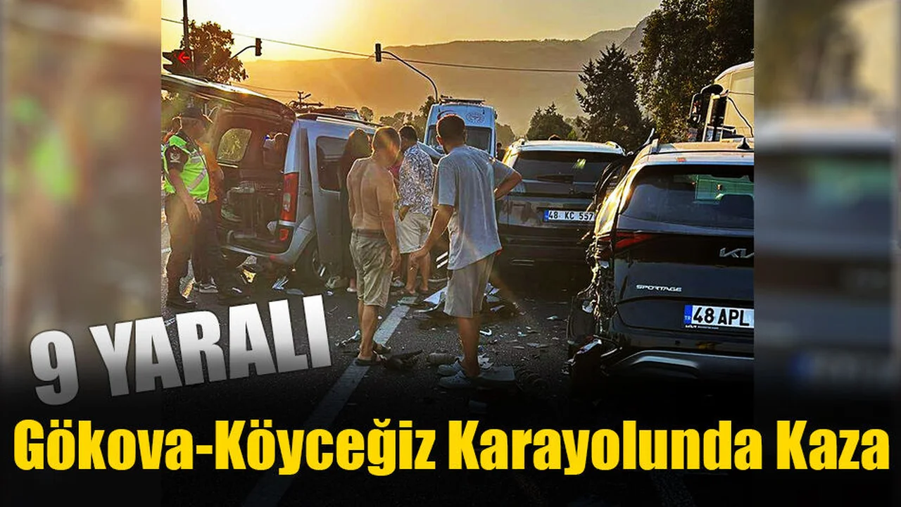 Gökova-Köyceğiz Karayolunda Kaza: 9 Yaralı