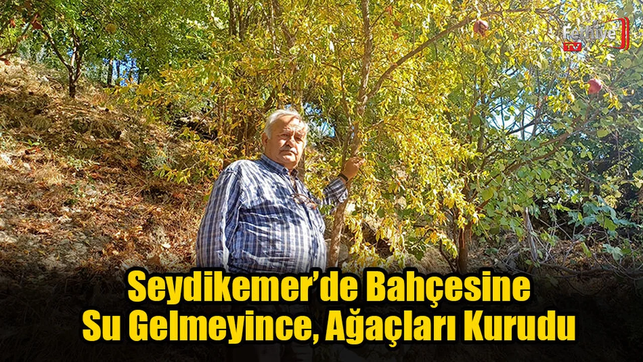 Seydikemer’de Bahçesine Su Gelmeyince, Ağaçları Kurudu