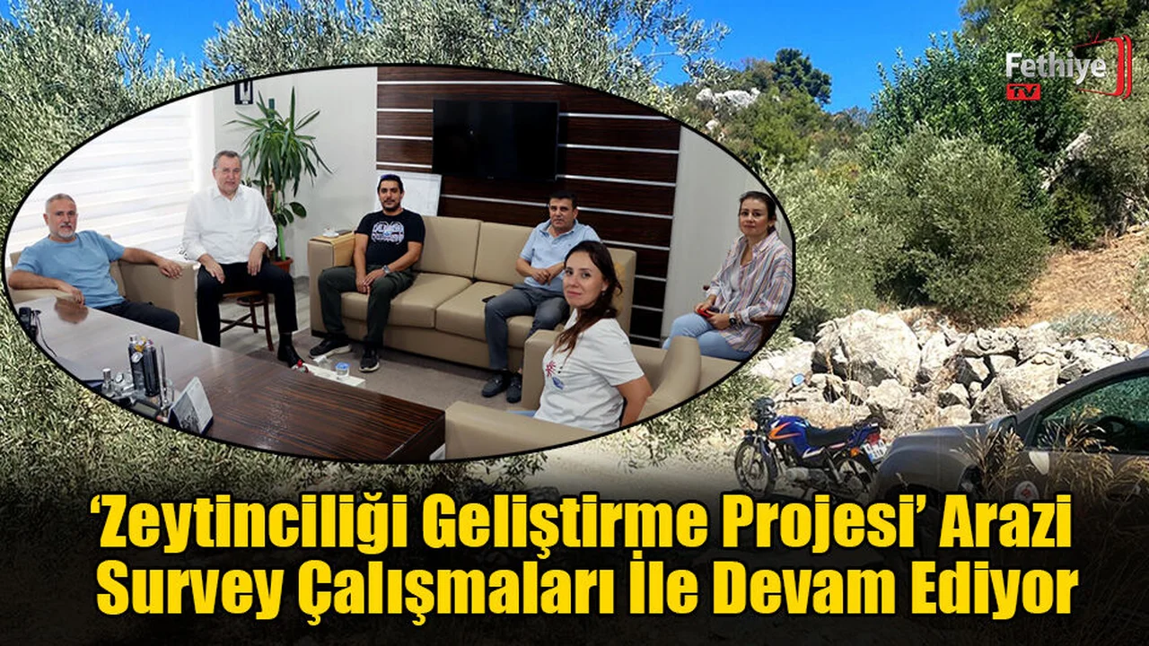 ‘Zeytinciliği Geliştirme Projesi’ Devam Ediyor
