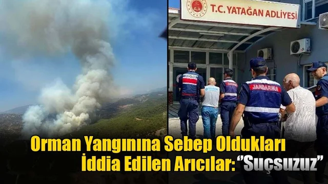 Orman Yangınına Sebep Oldukları İddia Edilen Arıcılar: "Suçsuzuz"