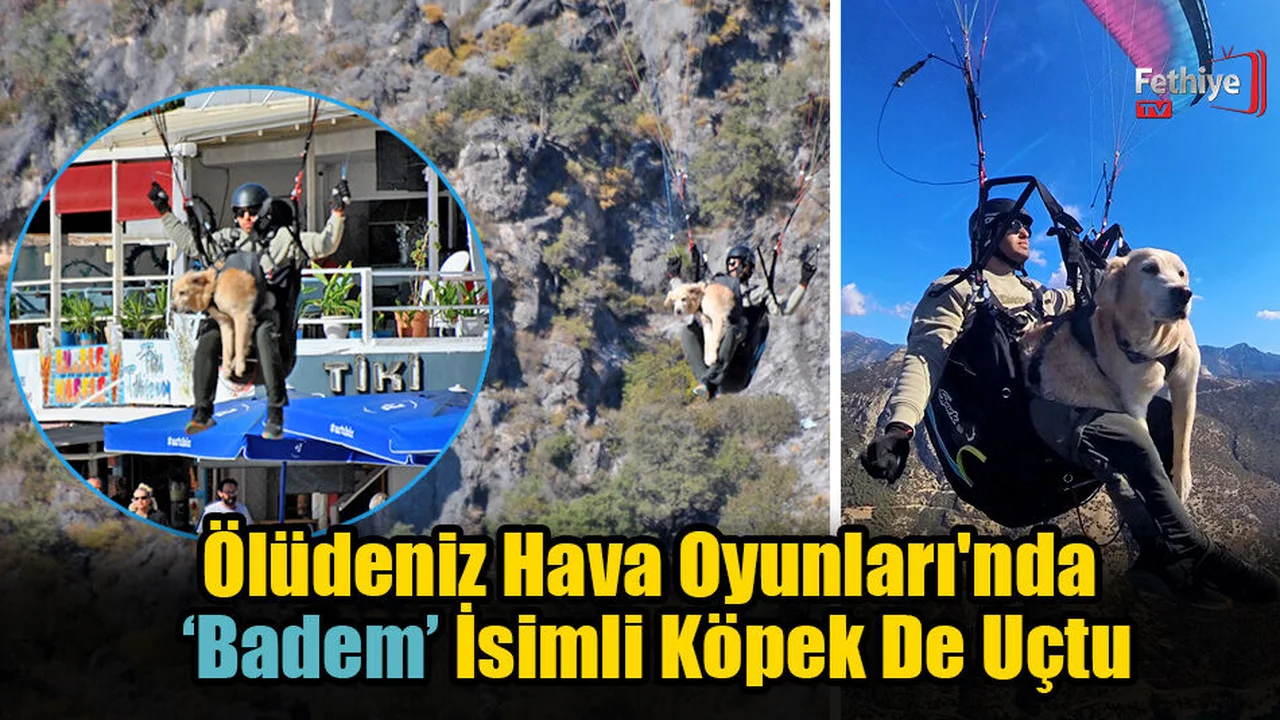 Ölüdeniz Hava Oyunları'nda ‘Badem’ İsimli Köpek De Uçtu