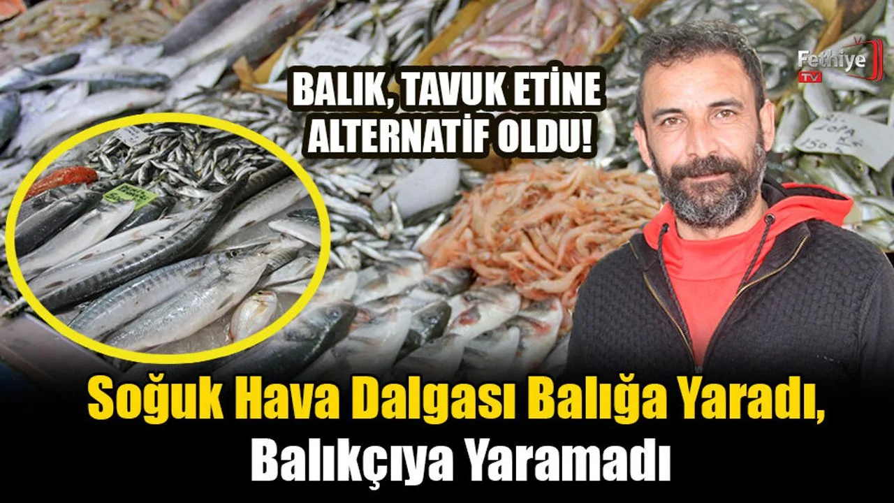 Soğuk Hava Dalgası Balığa Yaradı, Balıkçıya Yaramadı