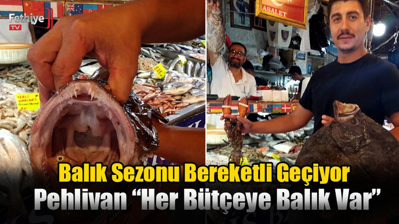 Balık Sezonu Bereketli Geçiyor