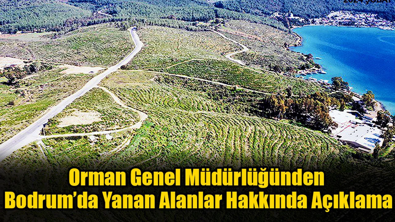 Orman Genel Müdürlüğünden Yanan Alanlar Hakkında Açıklama