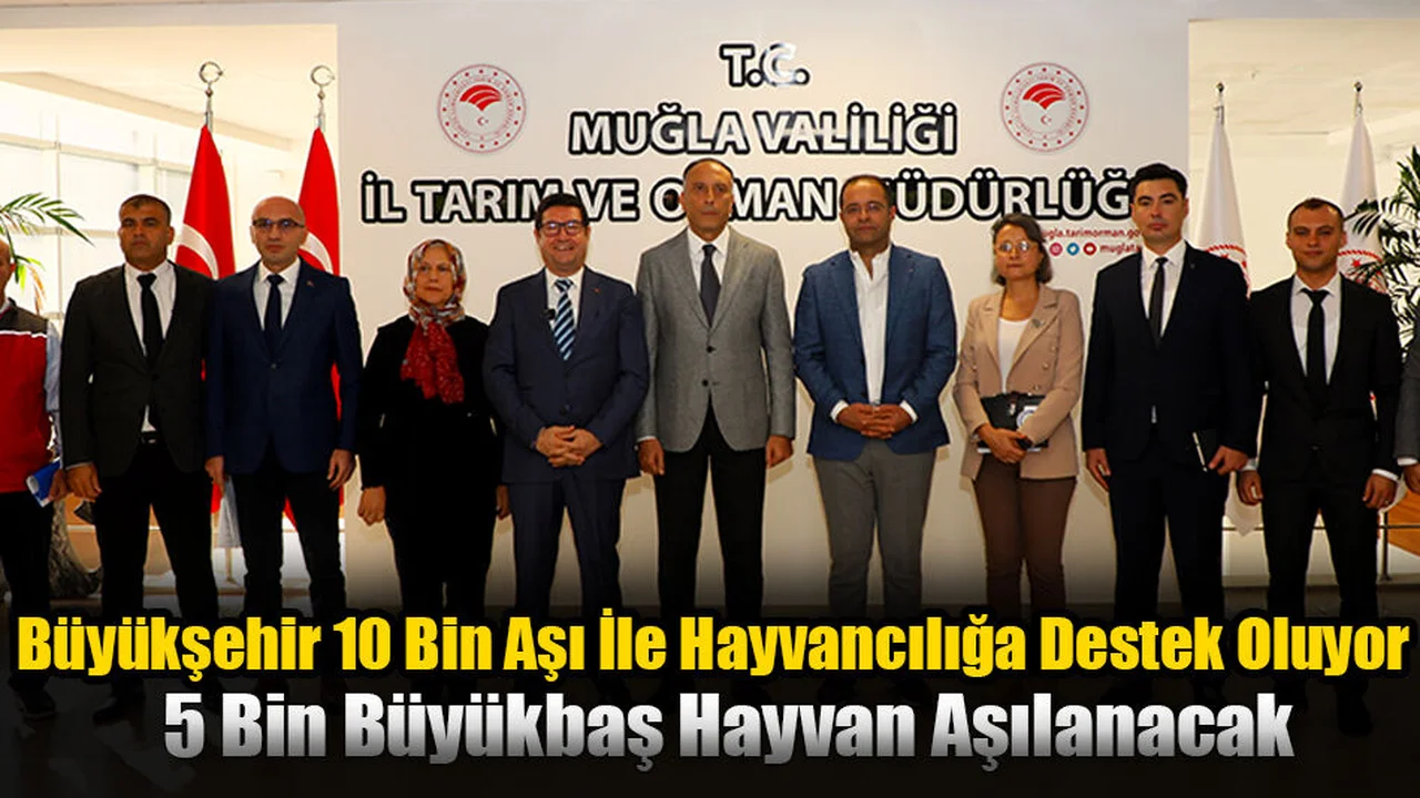5 Bin Büyükbaş Hayvan Aşılanacak