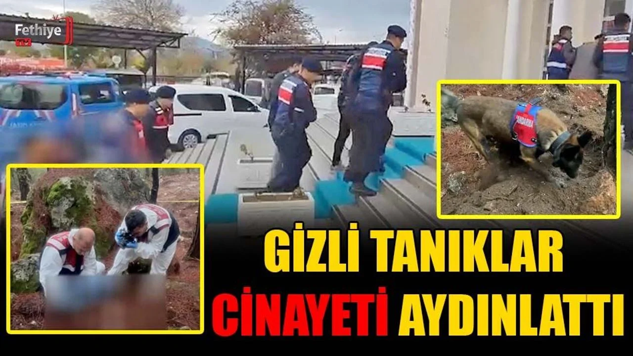 Gizli Tanıklar Cinayeti Aydınlattı