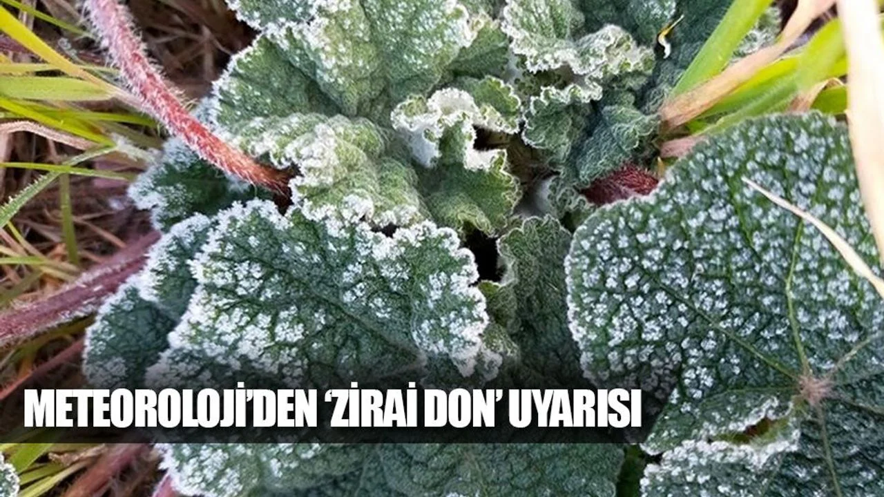 Meteoroloji’den ‘Zirai Don’ Uyarısı