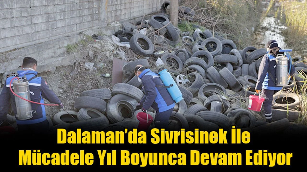 Sivrisinek İle Mücadele Yıl Boyunca Devam Ediyor