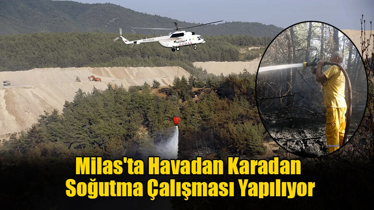 Milas Yangını Kontrol Altında