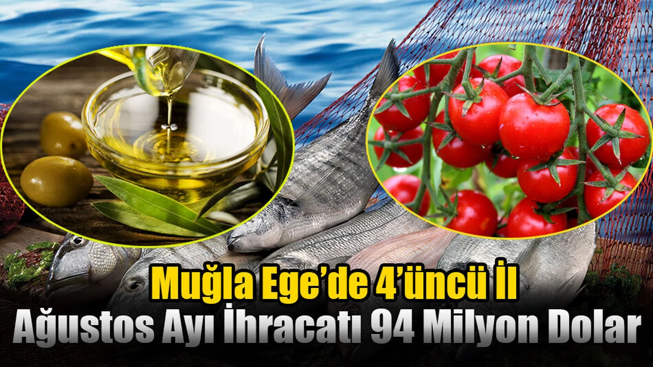 Muğla’nın Ağustos Ayı İhracatı 94 Milyon Dolar