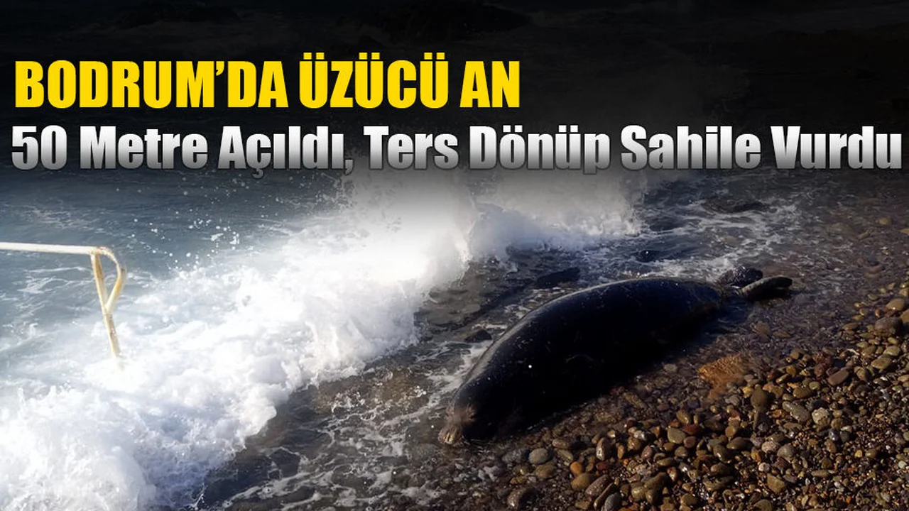 Bodrum'da Üzücü An: 50 Metre Açıldı, Ters Dönüp Sahile Vurdu