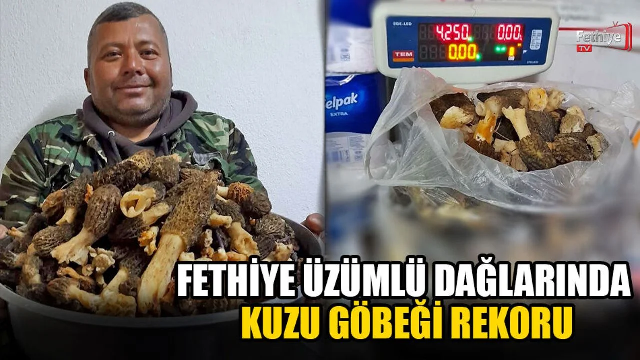 Süleyman Semerci, 4 Kilo 250 Gram Kuzu Göbeği Buldu
