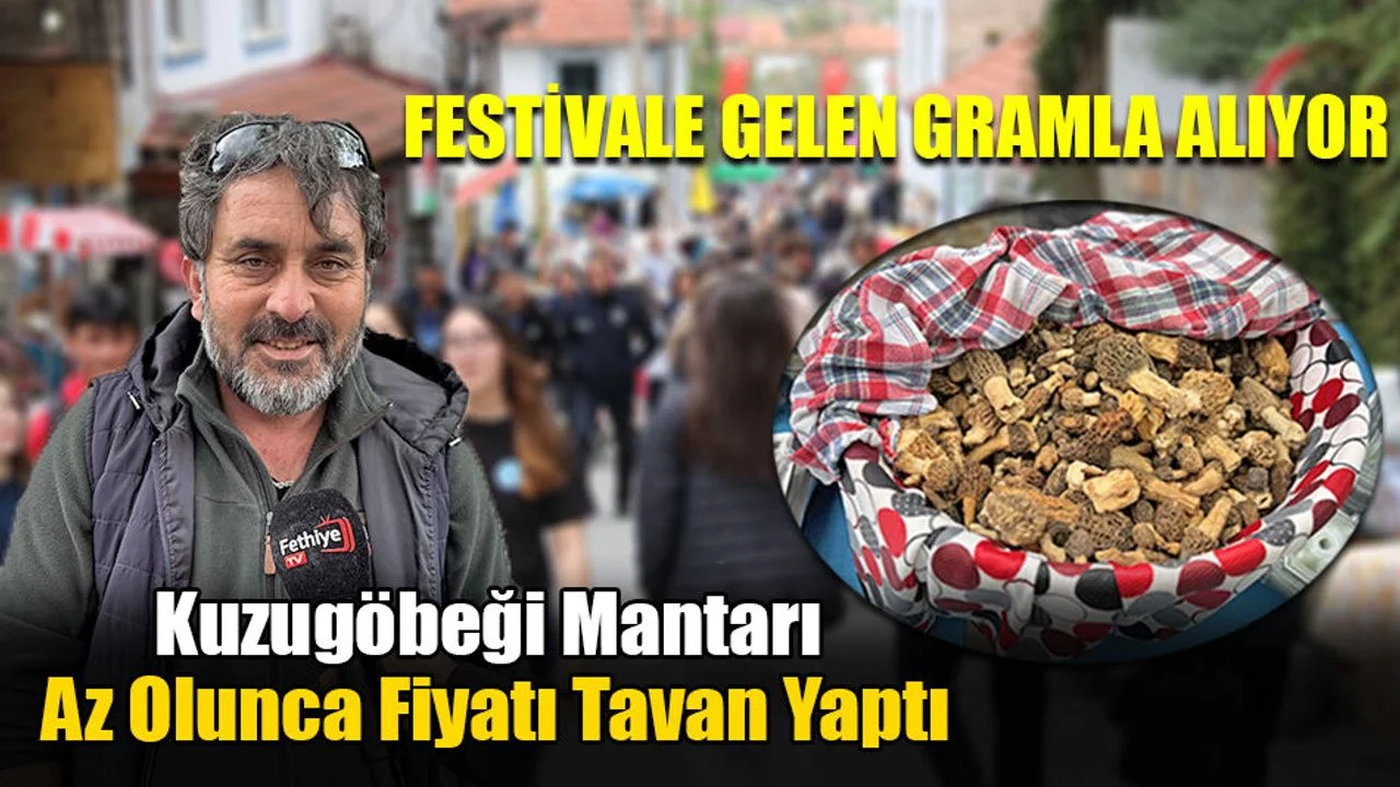 Kuzugöbeği Mantarı Az Olunca Fiyatı Tavan Yaptı