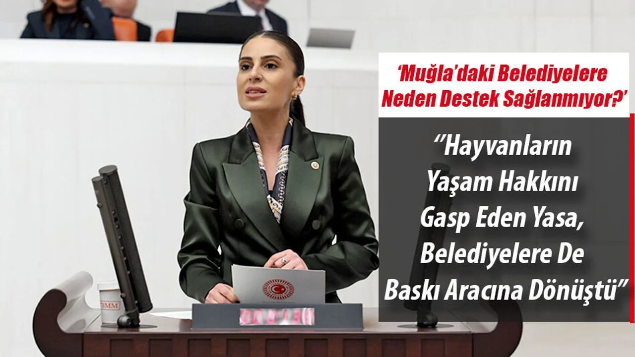 Milletvekili Özcan: ''Muğla’daki Belediyelere Neden Destek Sağlanmıyor?''