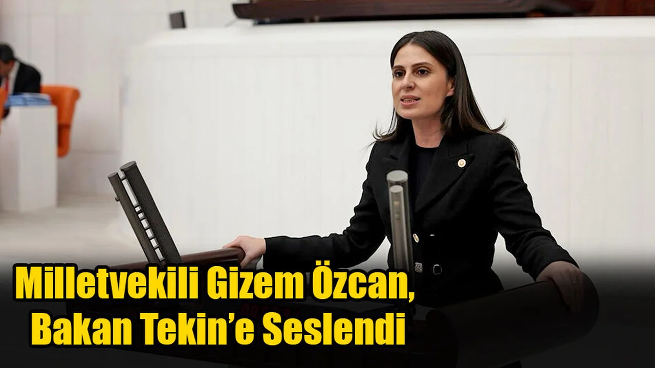 Milletvekili Gizem Özcan, Bakan Tekin’e Seslendi
