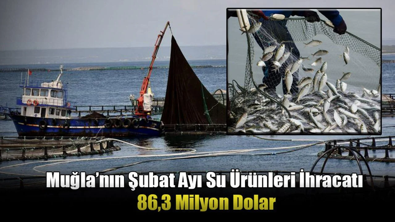 Muğla’nın Şubat Ayı Su Ürünleri İhracatı 86,3 Milyon Dolar