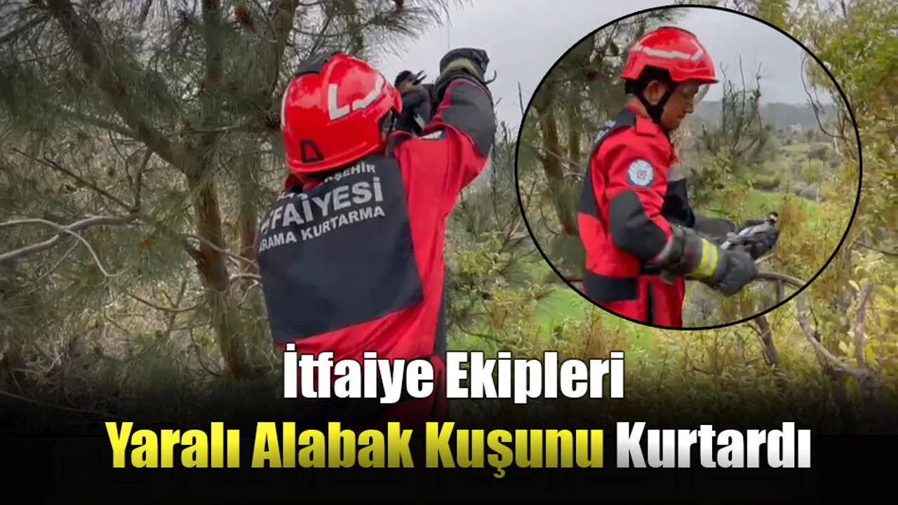 İtfaiye Ekipleri Yaralı Alabak Kuşunu Kurtardı