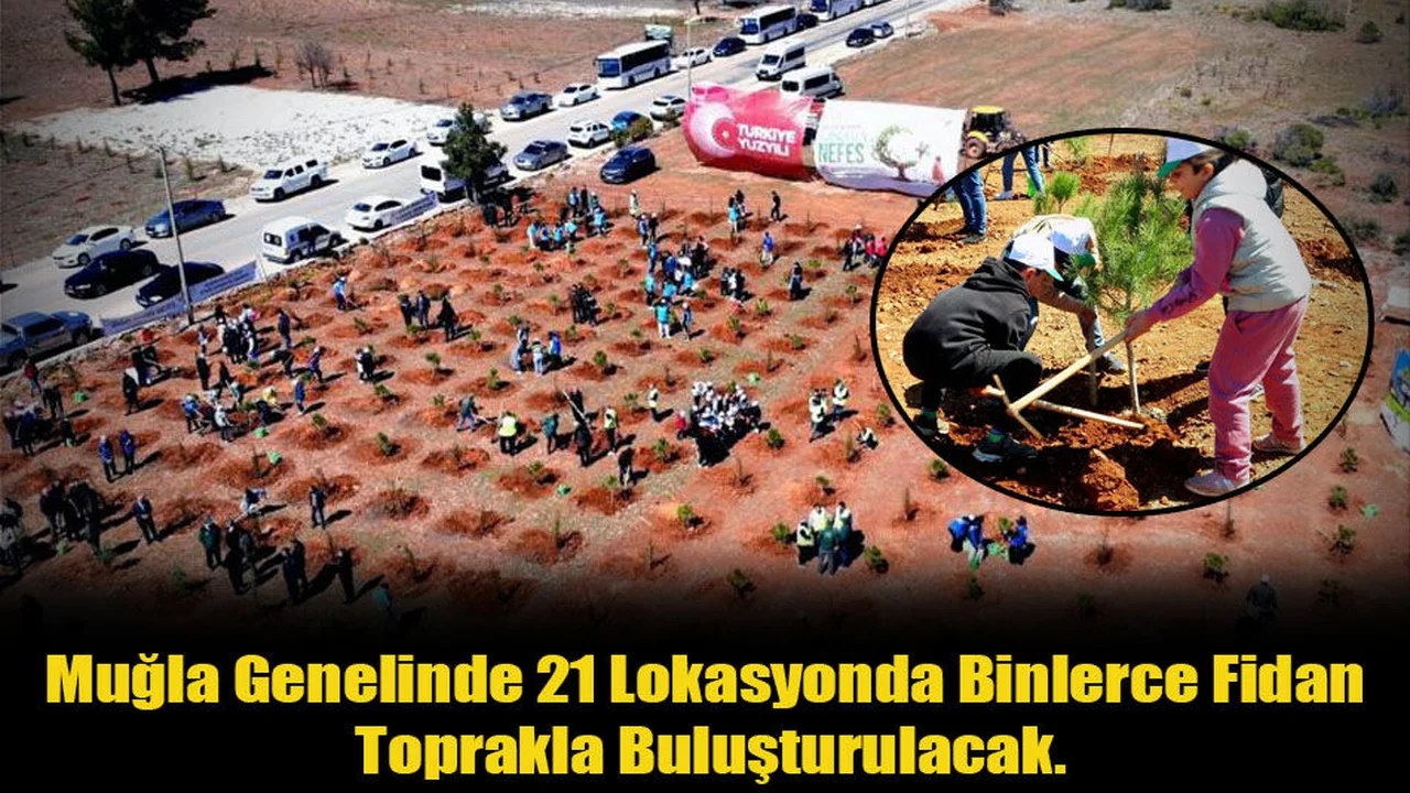 Muğla Genelinde 21 Lokasyonda Binlerce Fidan Toprakla Buluşturulacak.