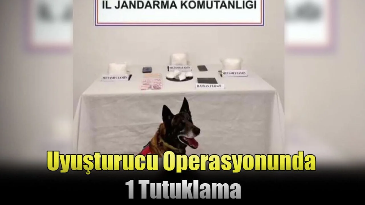 Uyuşturucu Operasyonunda 1 Tutuklama