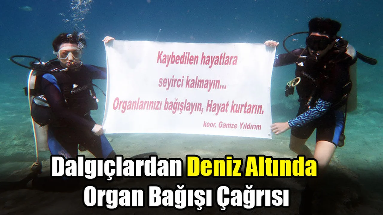 Dalgıçlardan Deniz Altında Organ Bağışı Çağrısı