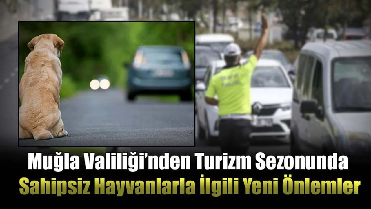 Muğla Valiliği’nden Turizm Sezonunda Sahipsiz Hayvanlarla İlgili Yeni Önlemler
