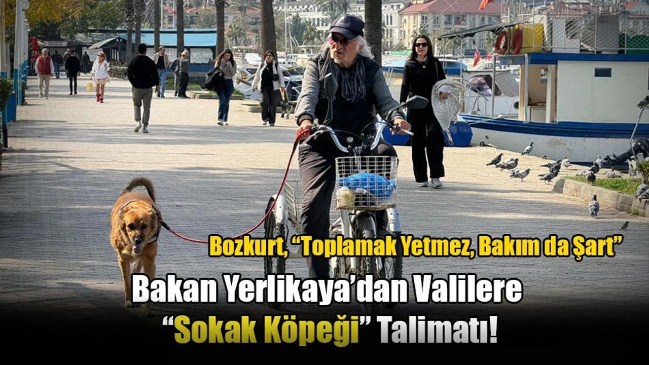 Bakan Yerlikaya’dan Valilere “Sokak Köpeği” Talimatı!
