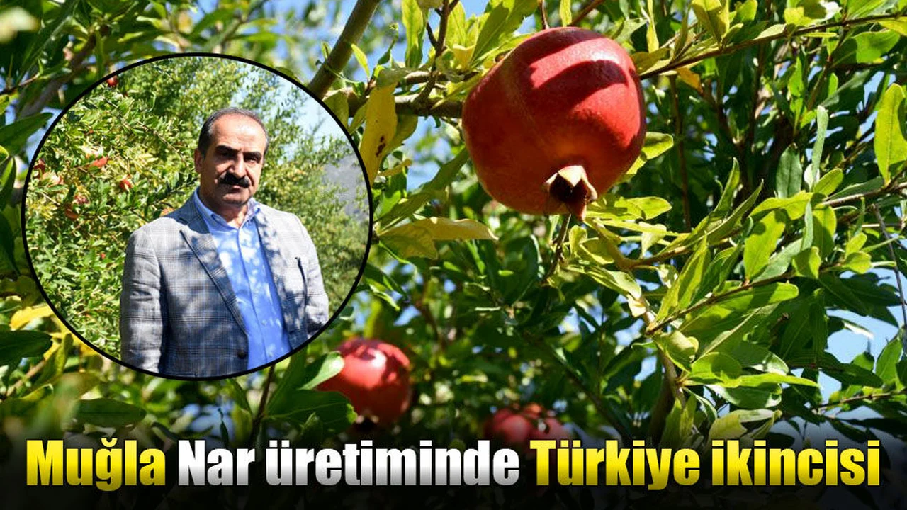 Muğla Nar üretiminde Türkiye ikincisi