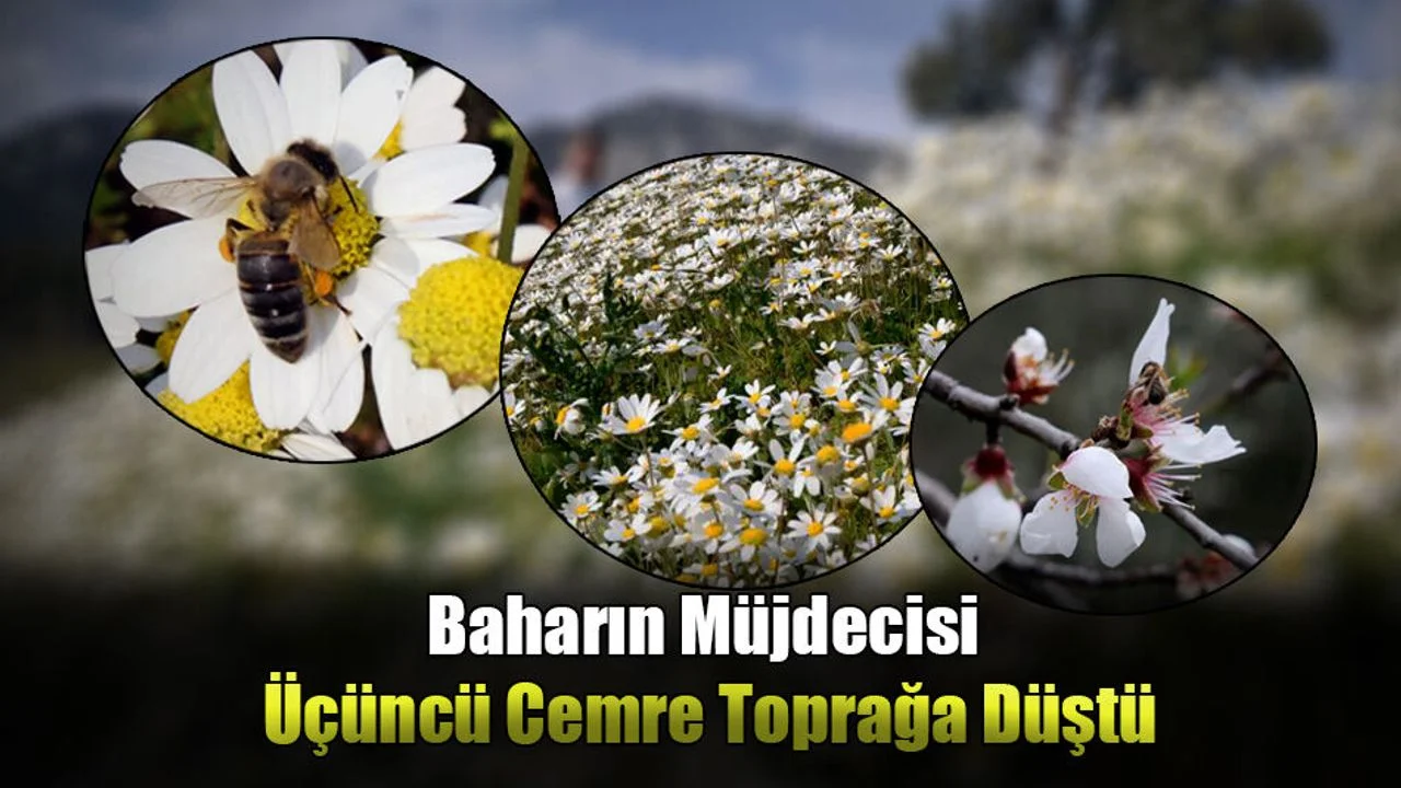 Baharın Müjdecisi Üçüncü Cemre Toprağa Düştü