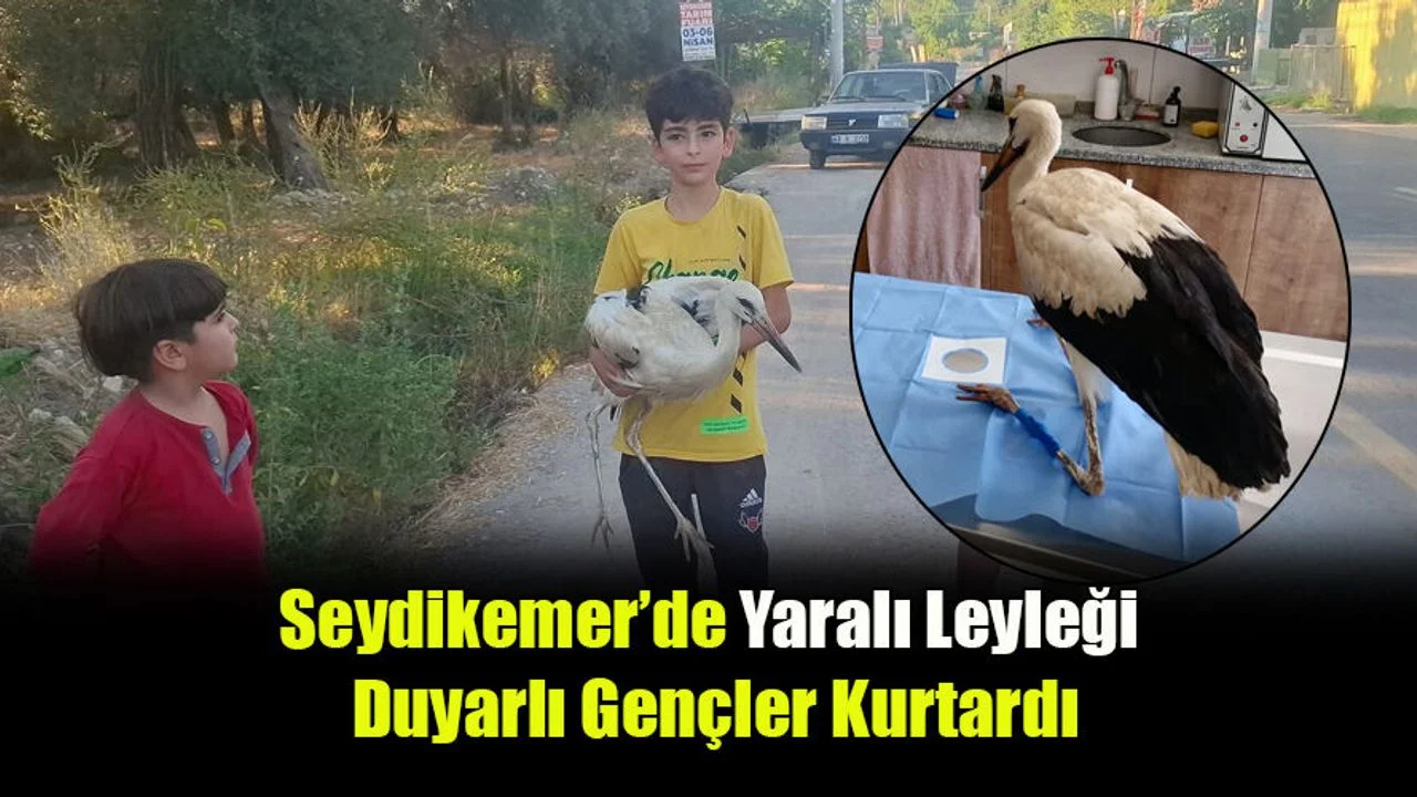 Seydikemer’de Yaralı Leyleği Duyarlı Gençler Kurtardı
