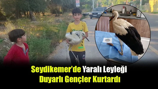 Seydikemer’de Yaralı Leyleği Duyarlı Gençler Kurtardı