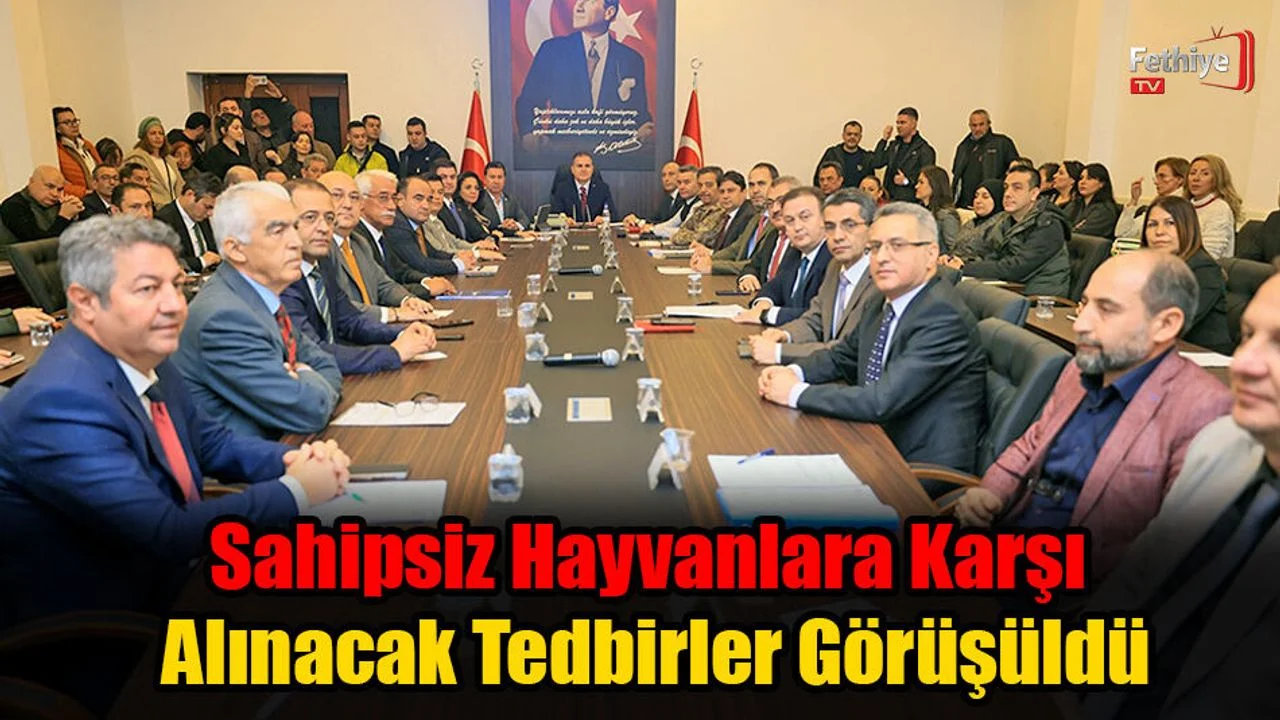 Sahipsiz Hayvanlara Karşı Alınacak Tedbirler Görüşüldü