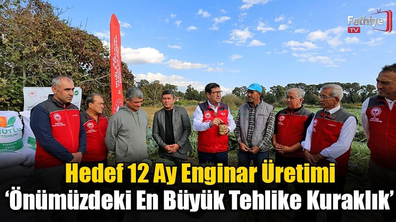 Muğla’da Hedef 12 Ay Enginar Üretimi