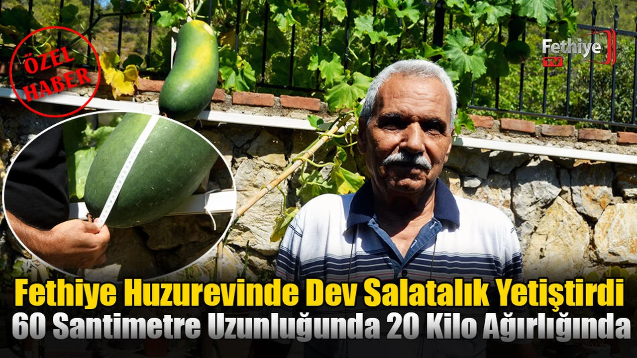 Fethiye Huzurevinde Dev Salatalık Yetiştirdi
