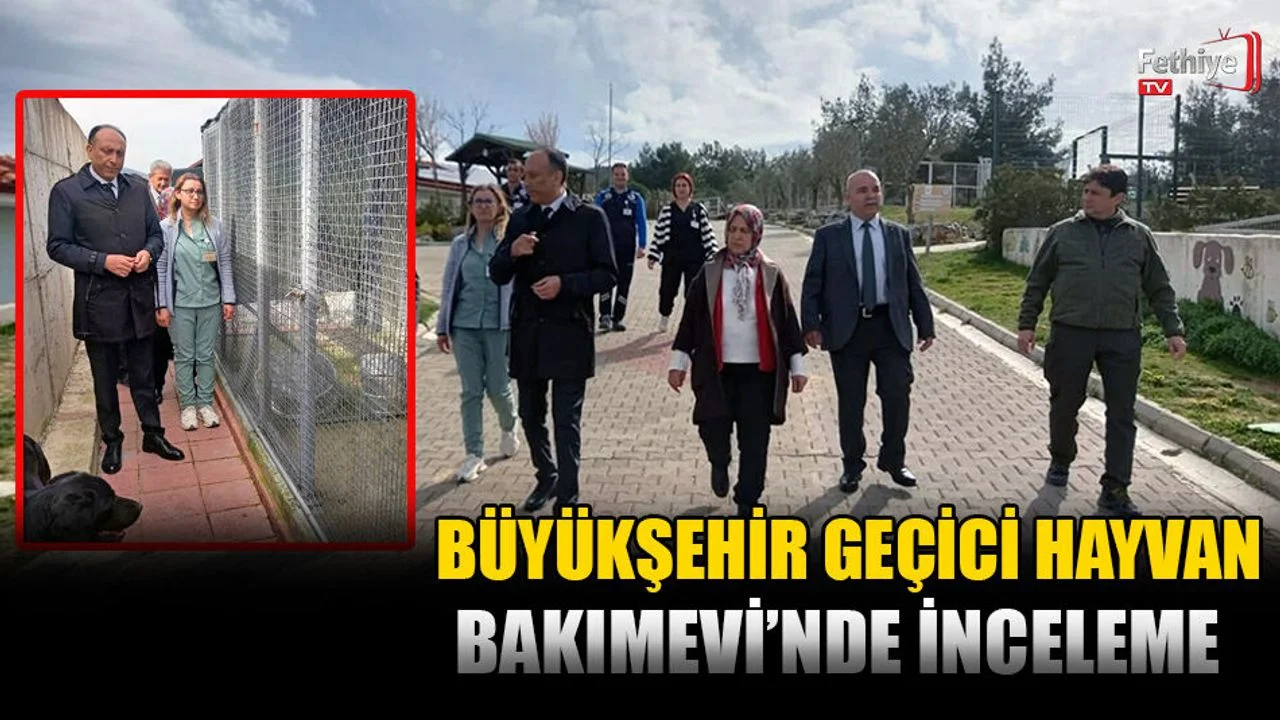 Büyükşehir Geçici Hayvan Bakım Evi’nde İnceleme