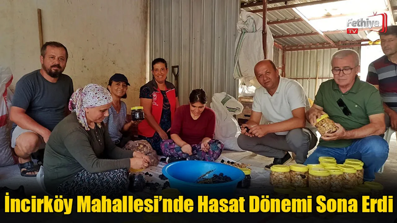 İncirköy Mahallesi’nde Hasat Dönemi Sona Erdi