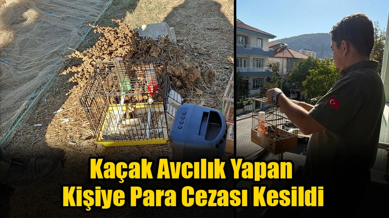 Kaçak Avcılık Yapan Kişiye Para Cezası Kesildi