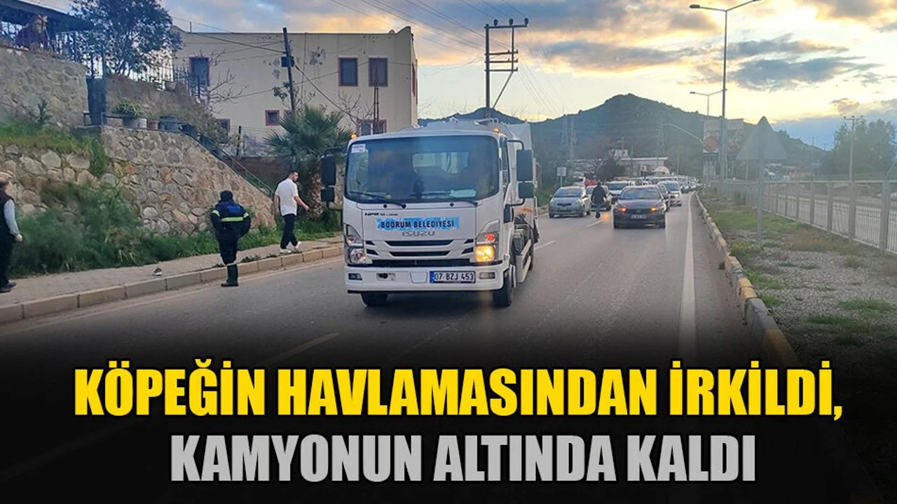 Ani Köpek Havlaması Faciası: Kamyon Kazasında Yaralanma