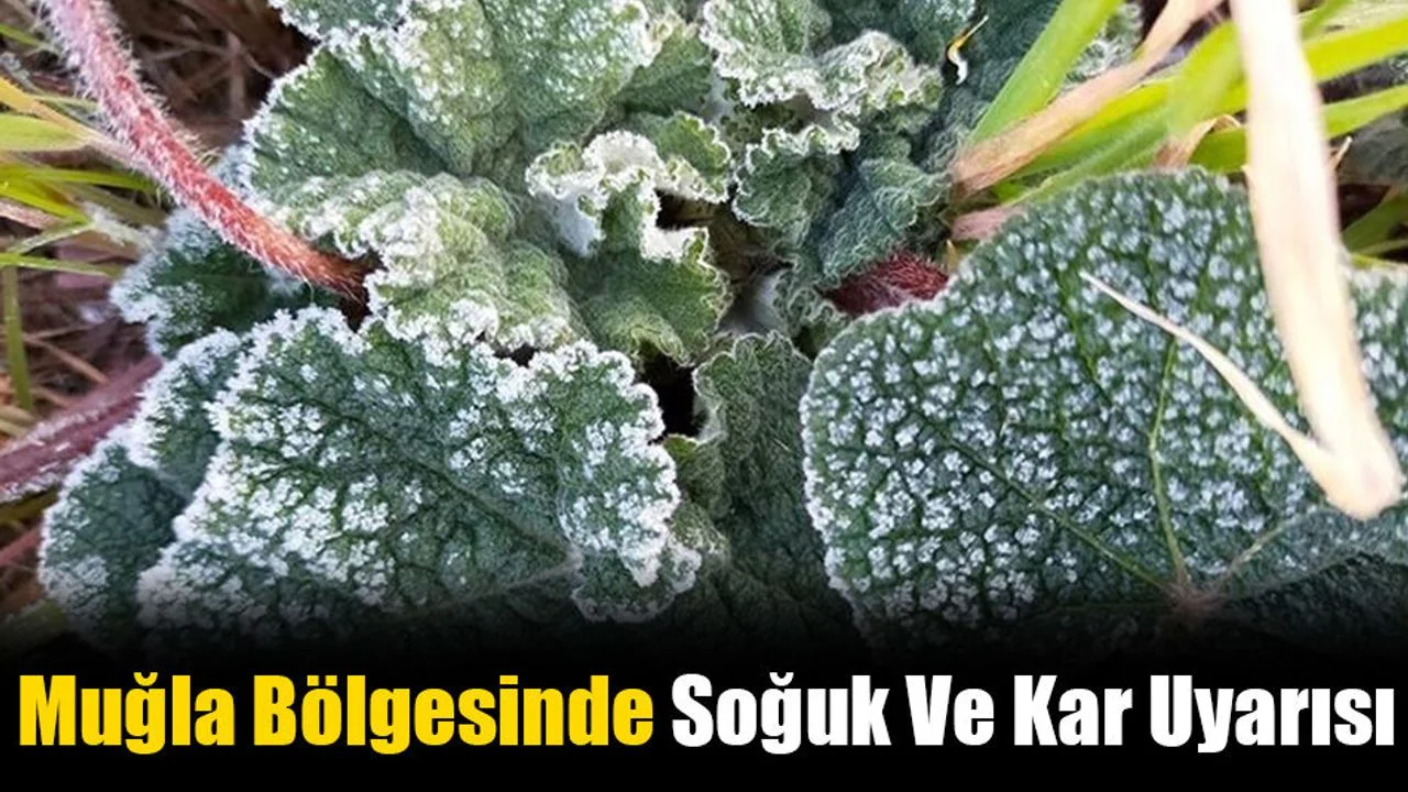 Muğla Bölgesinde Soğuk Ve Kar Uyarısı