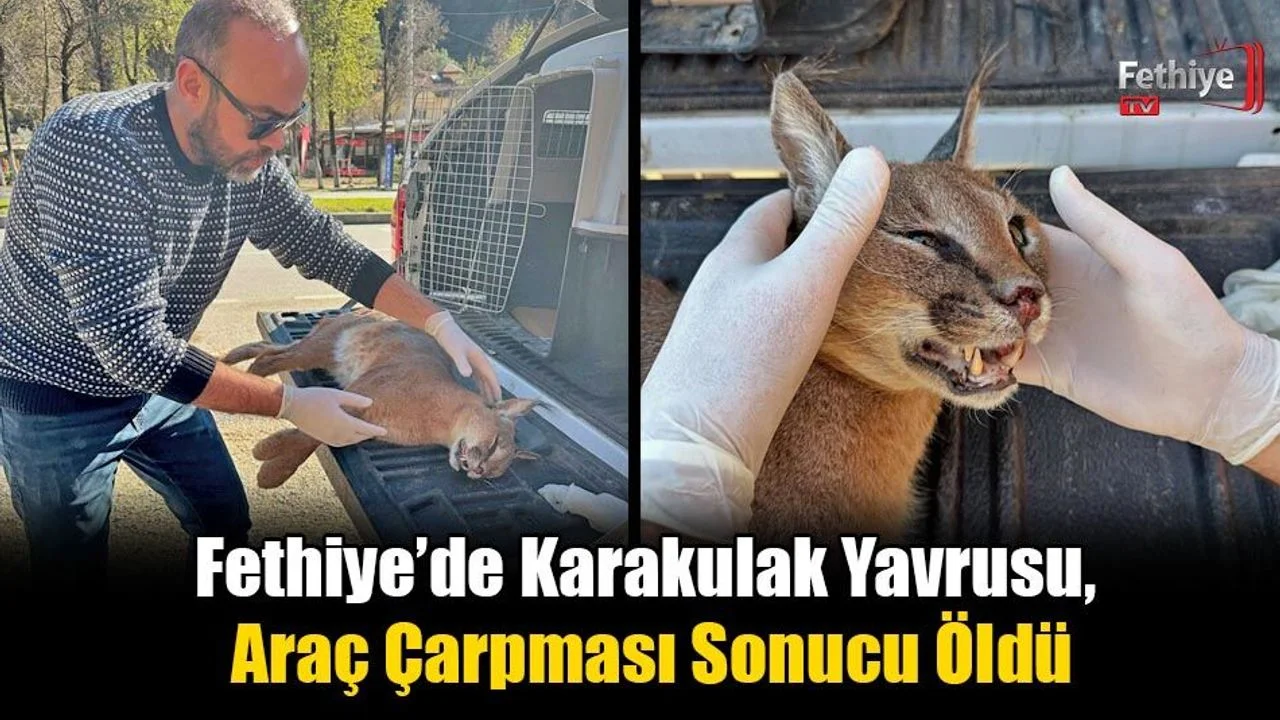 Dr. İlemin, “Ekosistem Geçiş Alanları Yapılması Lazım”