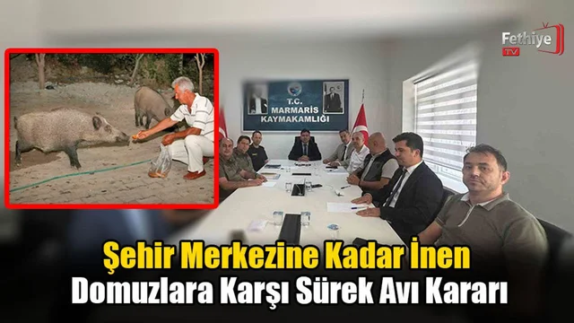 Şehir Merkezine Kadar İnen Domuzlara Karşı Sürek Avı Kararı